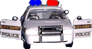 LSPD Car